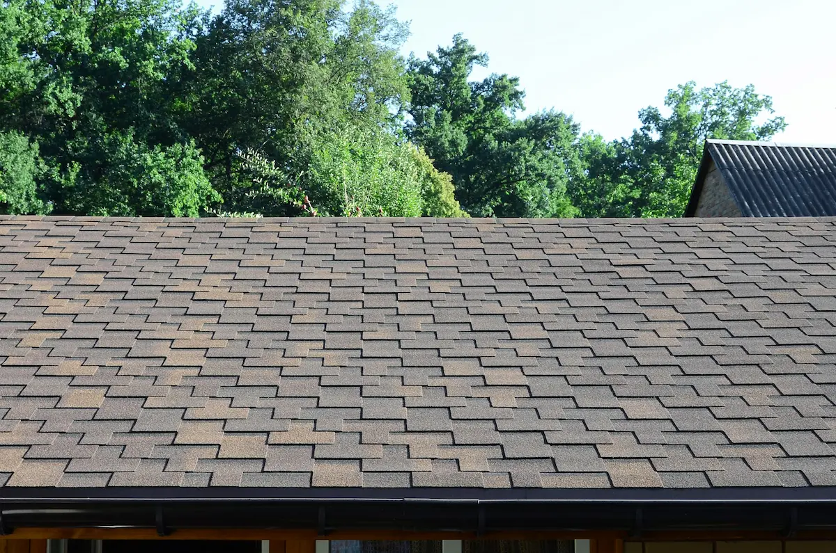 Why Ignoring Missing Shingles Repair Could Cost You Thousands
